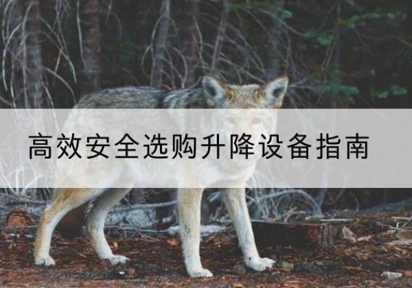 宁蒗升降货梯厂家推荐-*安全选购升降设备指南