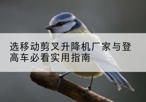 宁蒗电动升降机厂家-选移动剪叉升降机厂家与登高车必看实用指南