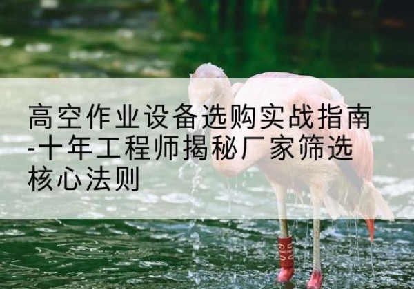 宁蒗剪叉式升降机厂家-高空作业设备选购实战指南-十年工程师揭秘厂家筛选核心法则